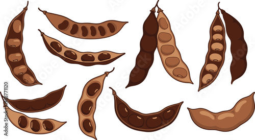 Pea Pod Icon Set with Opened and Closed Pods and Seeds for Agriculture, Farming, and Natural Food Design