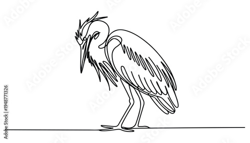 One continuous line illustration of an Herons bird , isolated on white background.