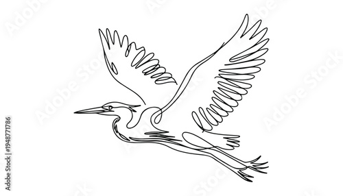 One continuous line illustration of an Herons bird , isolated on white background.