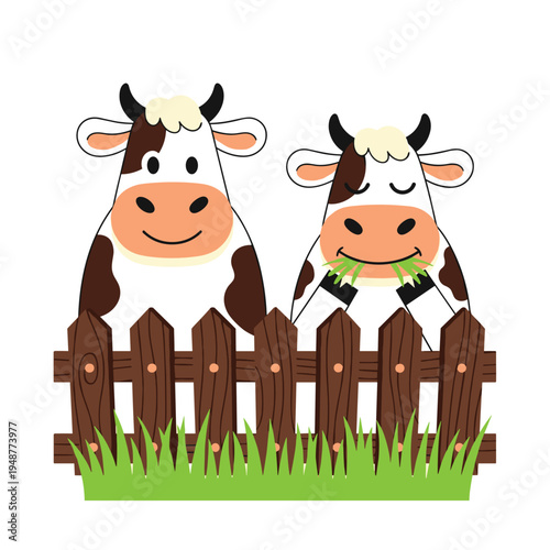 Two Cute Cartoon Cows Standing Behind a Wooden Fence.