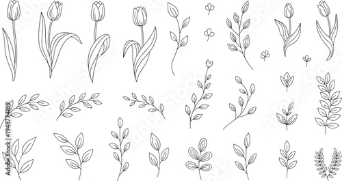 Hand drawn tulip flowers and botanical leaf branches line art vector set with elegant floral elements isolated for spring nature design