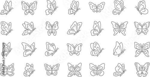 Background with butterflies outline vector illustration in gray tones