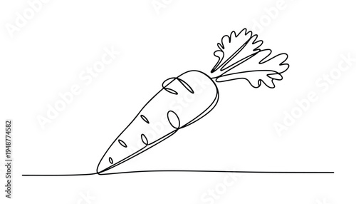 One continuous line illustration of an Carrots vegetable , isolated on white background.