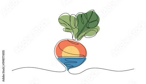 One continuous line illustration of an Radishes vegetable , isolated on white background.