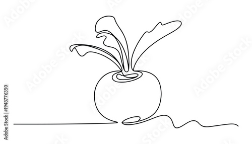 One continuous line illustration of an Radishes vegetable , isolated on white background.