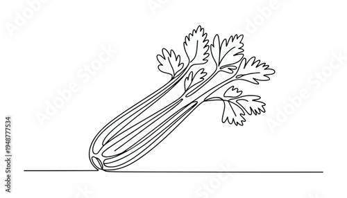 One continuous line illustration of an Celery vegetable , isolated on white background.