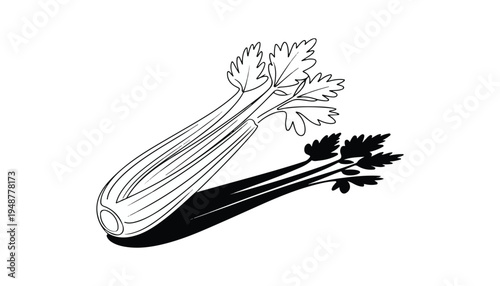 One continuous line illustration of an Celery vegetable , isolated on white background.