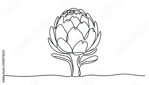One continuous line illustration of an Artichoke vegetable , isolated on white background.
