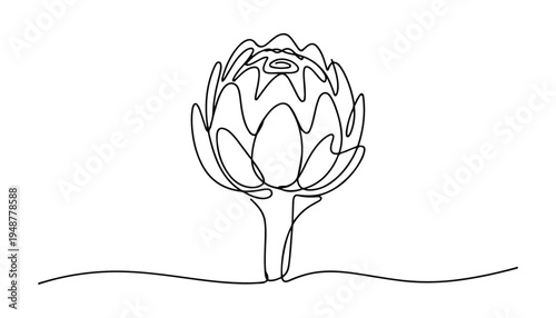 One continuous line illustration of an Artichoke vegetable , isolated on white background.