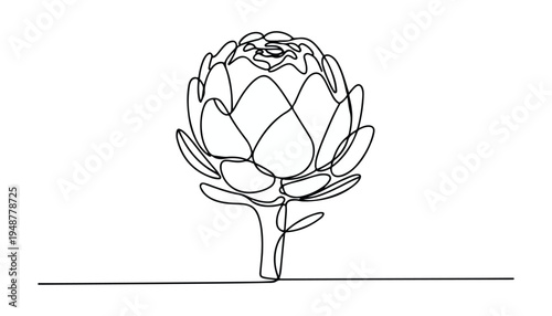 One continuous line illustration of an Artichoke vegetable , isolated on white background.