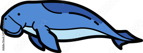 vector illustration of a dolphin