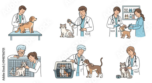 Illustrative scene of veterinarians providing healthcare and examinations for cats and dogs.