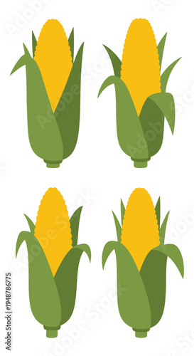 Four Ripe Corn Cobs with Green Husks on White Background, Healthy Food Illustration