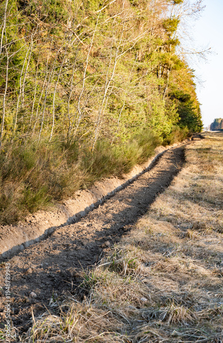 Fotografia Rural firebreak creating barrier protecting forest from wildfire and bushfire sp