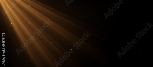 Dramatic golden light rays streaming diagonally through a dark background with floating dust particles, creating a cinematic atmosphere of warmth, mystery, and elegant illumination. Vector backdrop