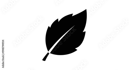 Black silhouette of a single leaf with serrated edges and a central vein, isolated on a white background.