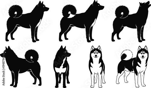 Siberian Husky Dog Vector Set with Multiple Poses Front View and Side Silhouettes for Pet Branding Logo Design and Icons