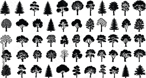 Collection of diverse tree silhouette illustration, forest artwork, natural landscape design concept, black and white botanical evergreen deciduous vector template