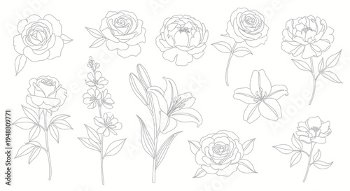 Elegant Floral Line Art Collection: Roses, Lilies, Peonies, and Delphiniums