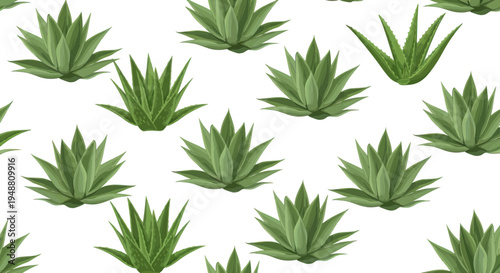 Seamless Pattern of Aloe Vera Plants on White Background