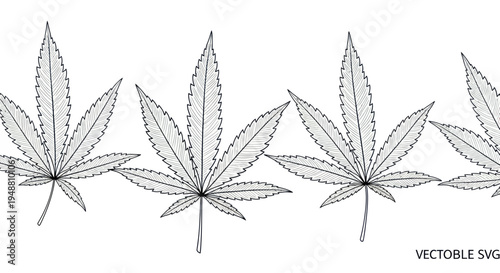 Cannabis Leaf Border Illustration - Hand Drawn Botanical Line Art