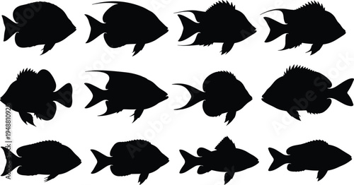 Collection of tropical fish silhouettes set, marine aquatic animal shapes isolated on white background, ocean wildlife illustration pack for design and nature themes