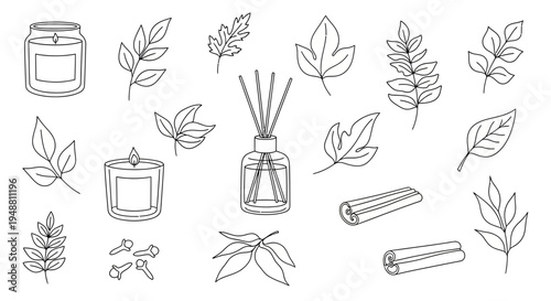 Aromatic candle and reed diffuser with leaves and spices vector illustration