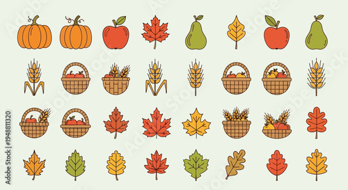 Autumn harvest elements vector illustrations of fruits vegetables and leaves