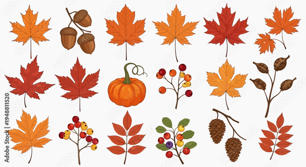 Fototapeta premium Autumn leaves and gourds illustration set on white background