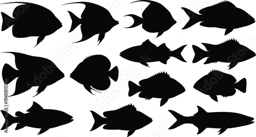 Tropical fish silhouettes collection with various marine species shapes, aquatic ocean wildlife animals set isolated on white background underwater nature illustration