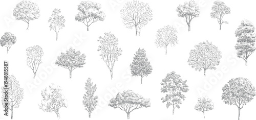 Hand drawn tree collection set, detailed botanical forest trees sketch pack, nature landscape design elements for map and garden planning vector illustration