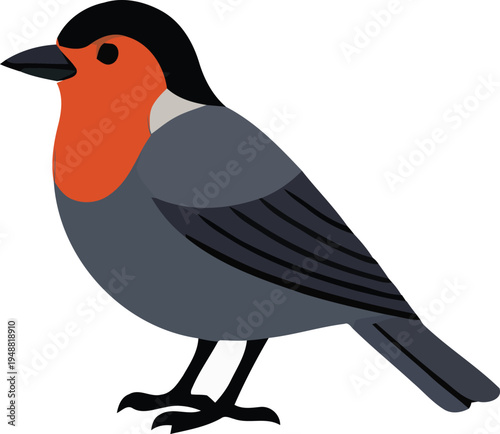 Vector illustration of a robin bird