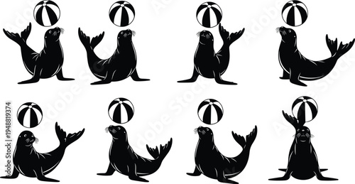 Set of black sea lion silhouettes performing circus tricks with beach balls isolated on white background for marine animal designs.