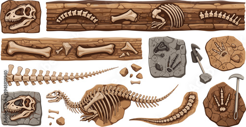 Dinosaur Fossil Bones and Excavation Layers Collection with Prehistoric Skeleton Remains Archaeology Digging Tools and Paleontology Discovery Illustration Set