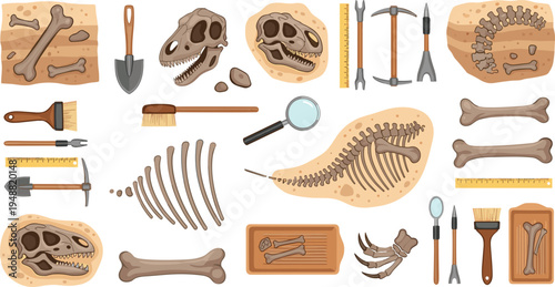Dinosaur Fossil Excavation Tools and Skeleton Bones Collection with Paleontology Digging Equipment Prehistoric Skull Ribcage and Archaeology Illustration Set