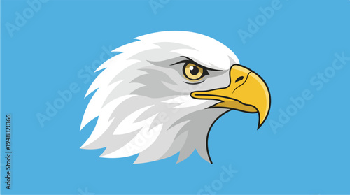 American Bald Eagle Head Closeup.