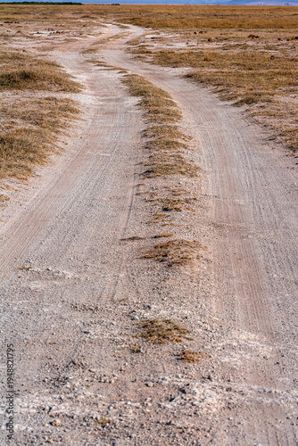 A gray dirt road in Amboseli, Kenya. Africa