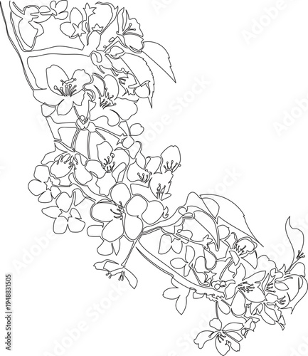 Continuous One Line Drawing of Cherry Blossom Branch with Flowers eps10