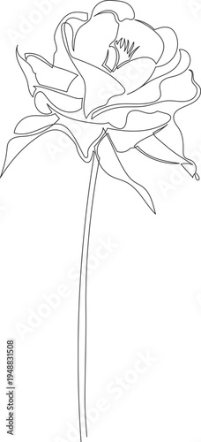 Continuous One Line Drawing of Winky Double Columbine Flower eps10
