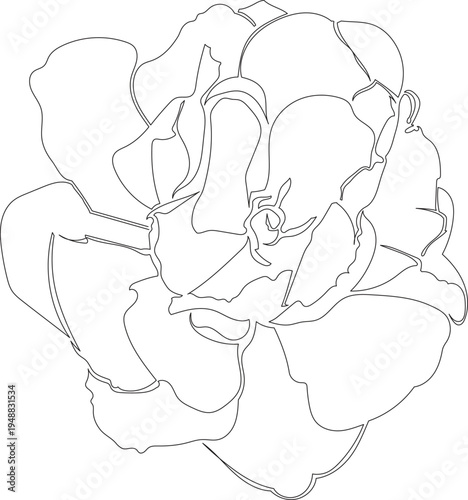 Continuous One Line Drawing of Tulip Flower Bloom eps10