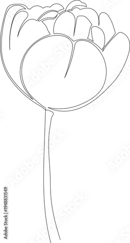 Continuous One Line Drawing of Tulip Flower eps10