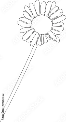 Continuous One Line Drawing of Oxeye Daisy Flower eps10