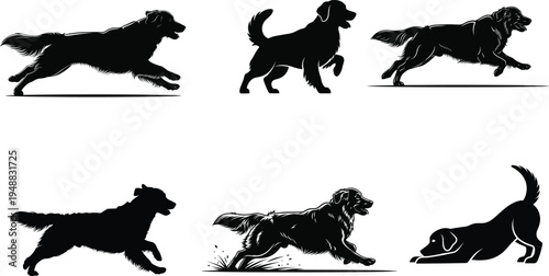 Silhouette of a dog in various running and playing poses