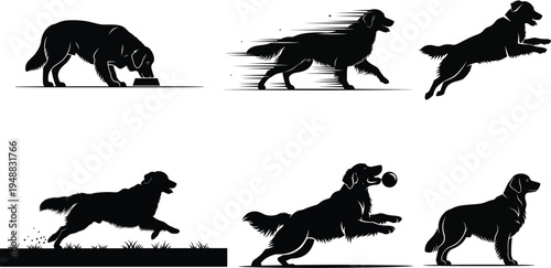 Sequence of a dog running and playing in various dynamic poses