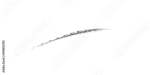 Tire track. Car, bike, motorcycle tyre mark with grunge effect isolated on white background. Wheel footprint on the road. Top view of rubber protector mark.