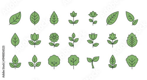 Collection of various green leaf shapes.