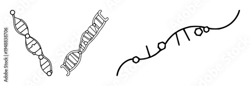 DNA strand set with geometric vector icon with hexagonal markers featuring gene, sequence, nucleotides with genetic mapping and scientific illustration