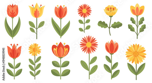 Colorful Tulips and Flowers Illustration.