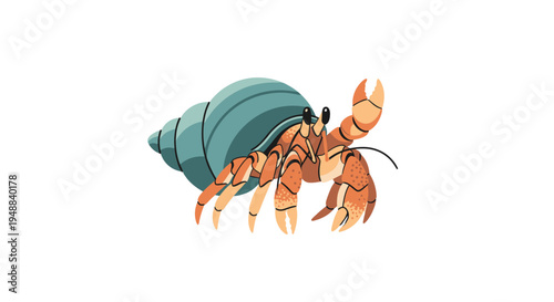 Colorful hermit crab in shell side view.