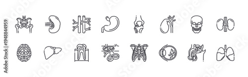 set of 16 thin line human organs icons such as hips, brain, spleen, liver, veins, tooth, stoh, blood cells, knee. editable stroke vector illustration isolated on white